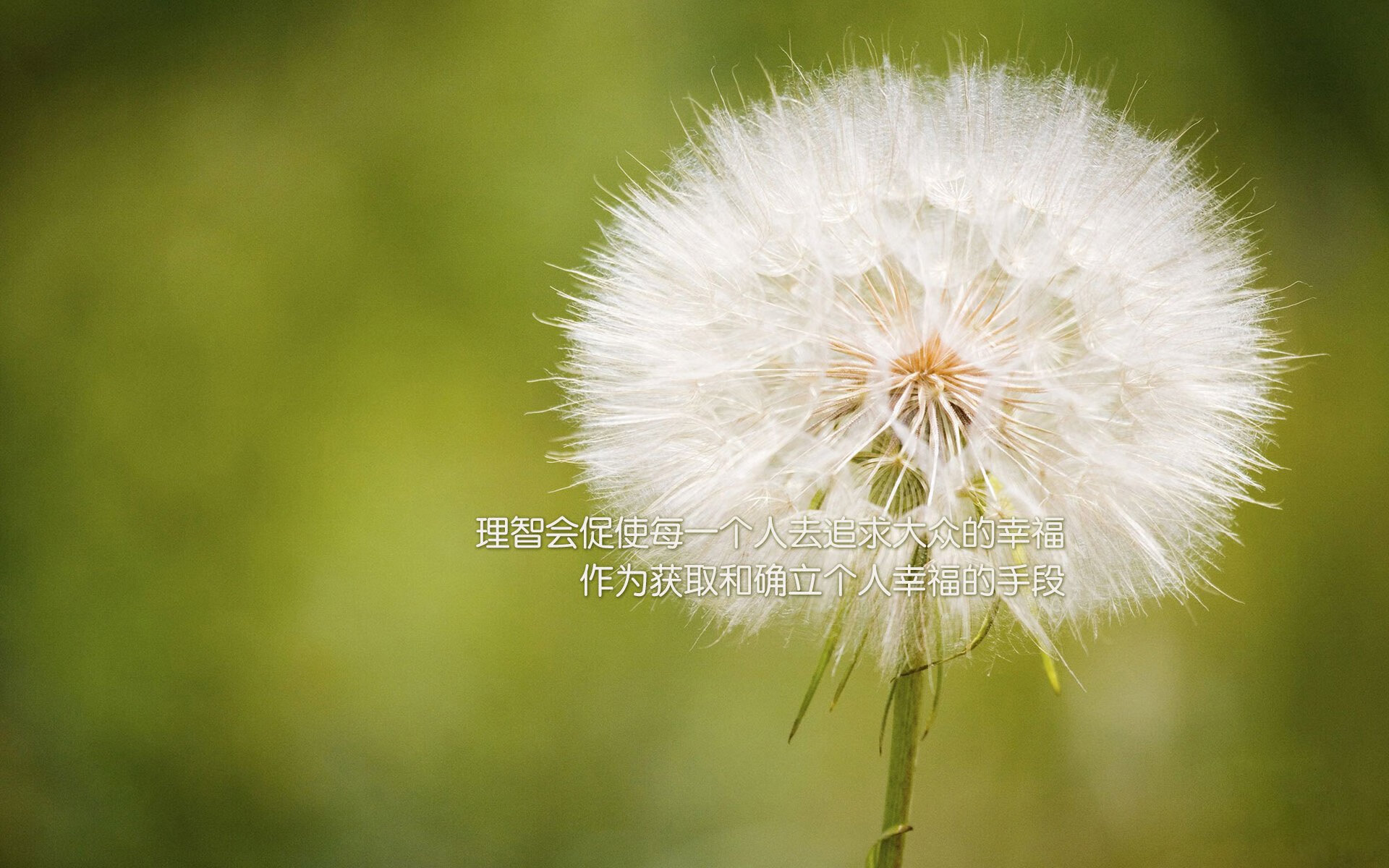 JDG战队携手科研机构研究电竞运动员代谢机制，jc电竞队员