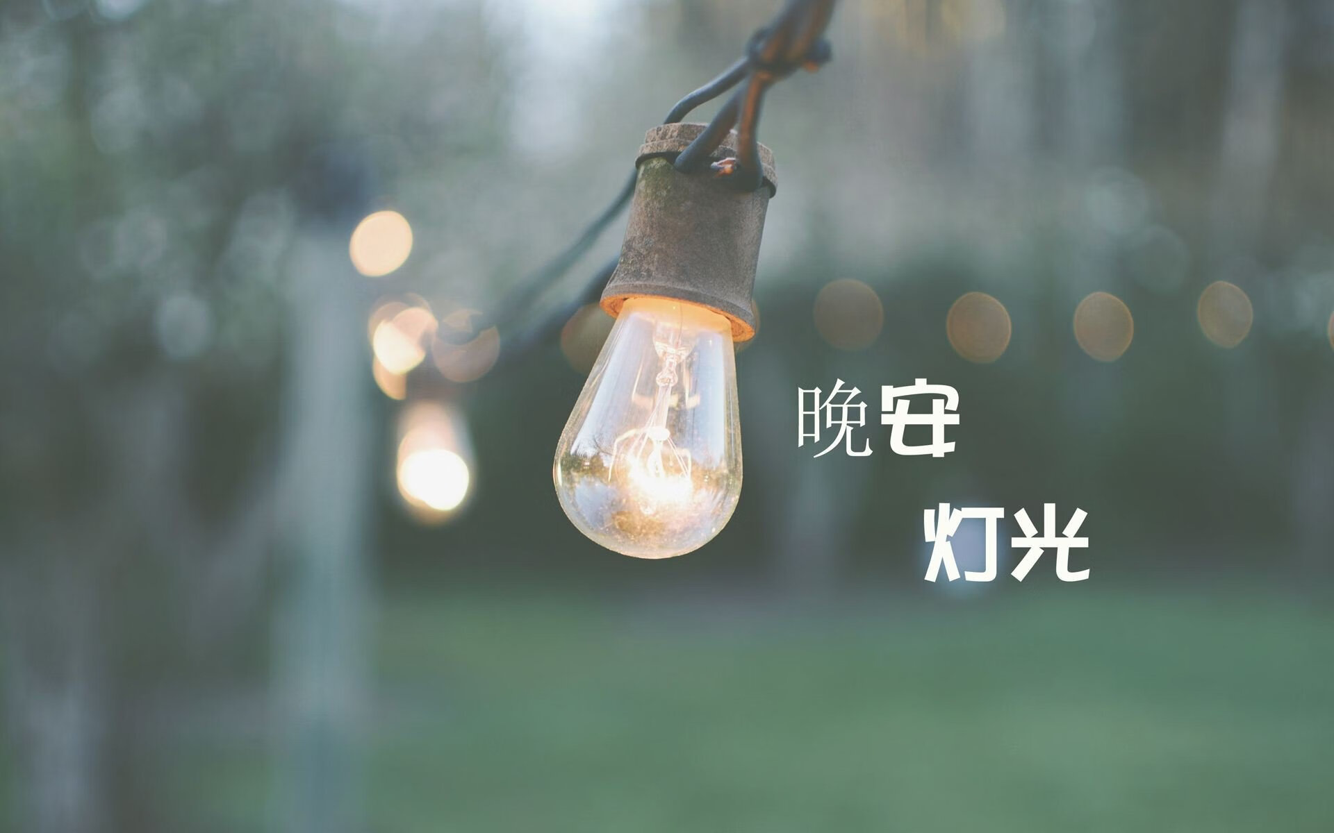 德甲球队与高校合作打造球员综合发展平台，德甲球队关系网