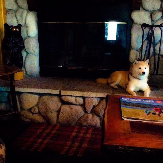 C罗训练结束后与球迷亲切互动,c罗刻苦训练