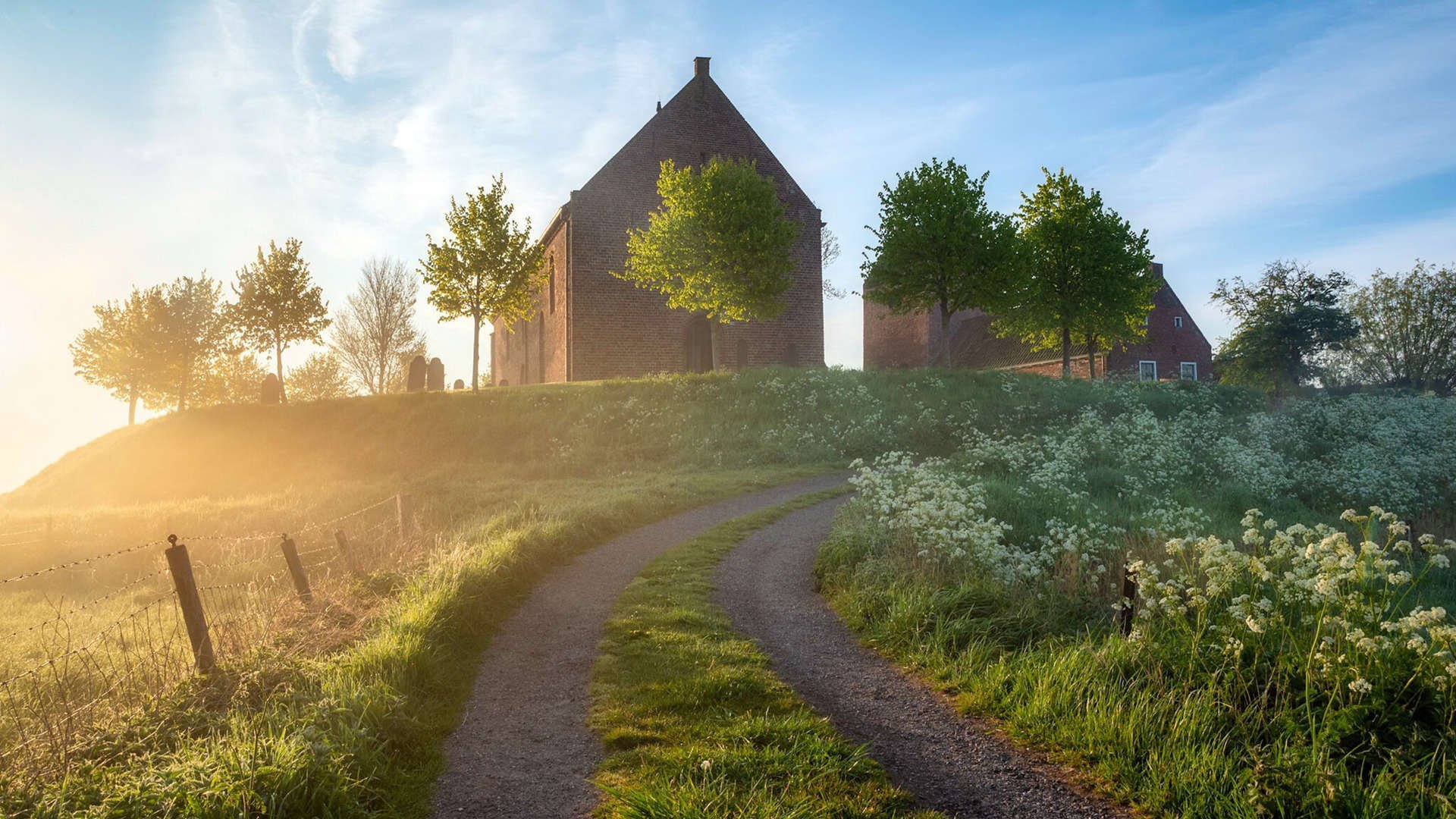 体育公益项目影响力持续扩大,体育公益组织