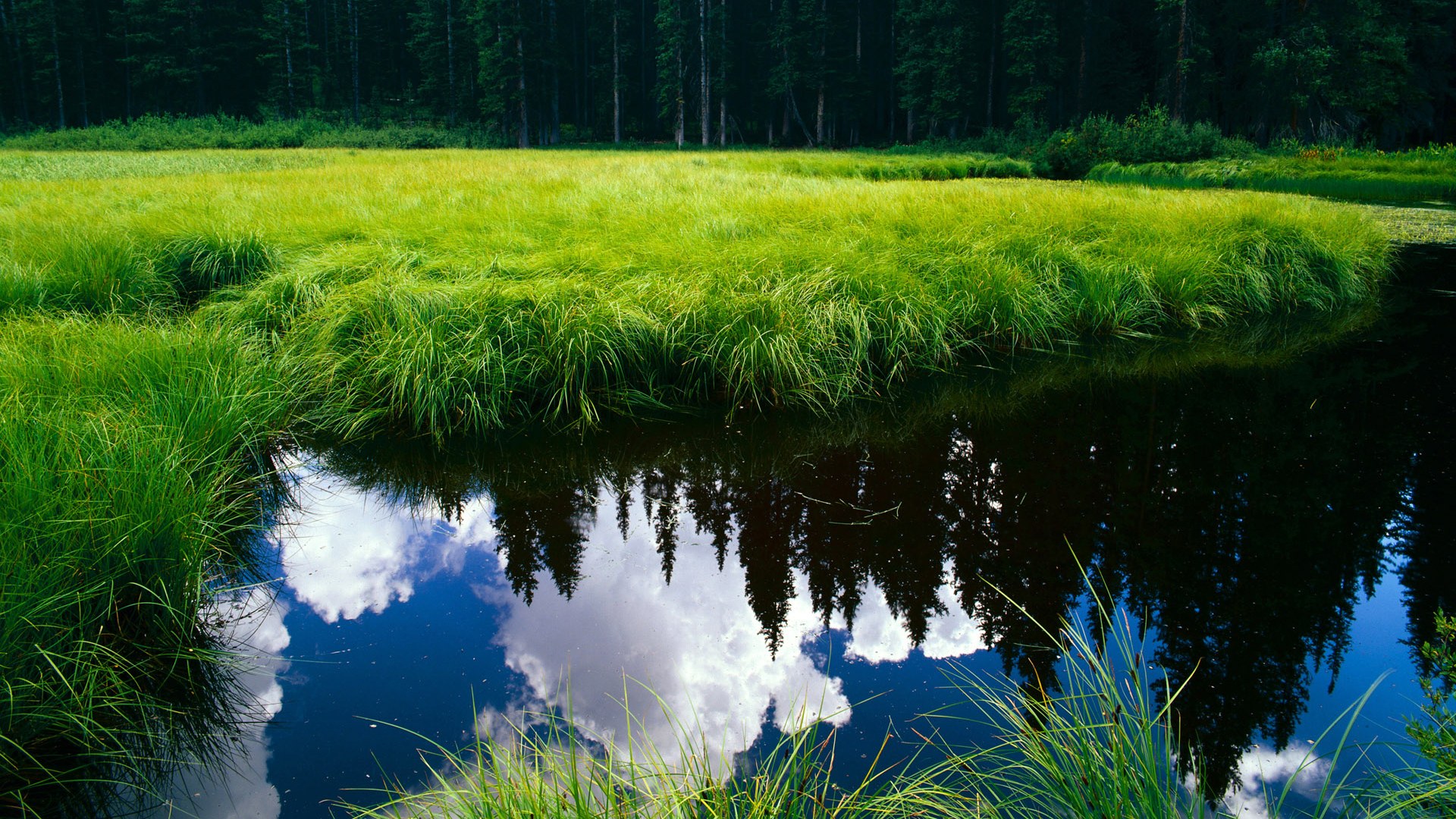 恩比德中投稳定帮助球队保持领先,恩比德谈主场优势